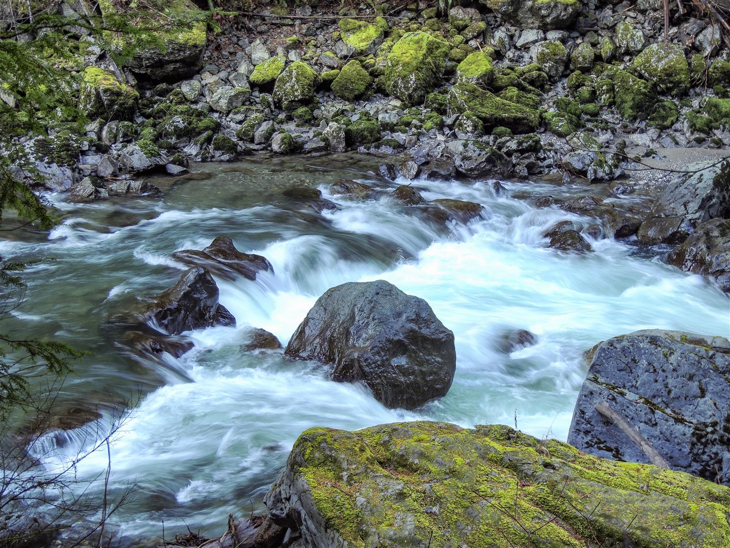 Maple Creek Loop Trail, Horseshoe Bend, Deming Homestead Eagle Park